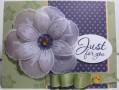 2011/02/17/Build_A_Blossom_Vellum_purple_card_by_Angie_Leach.JPG