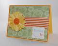 2011/02/27/So_Happy_For_You_stamp_set_by_amyfitz1.jpg