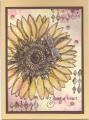 2014/08/19/CC492_Sunflower_by_Kathy_LeDonne.jpg