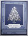 2011/11/28/sas_concord_silver_tree_1_by_Angie_Leach.JPG
