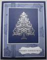 2011/11/28/sas_concord_silver_tree_2_by_Angie_Leach.JPG