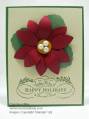 2012/11/26/Poinsettia-Christmas_by_cmstamps.jpg