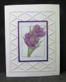 2014/04/17/Easter_card_from_Barb_P_2014_by_hobbydujour.JPG