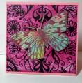2011/11/04/HYCCT1113_PINK_BUTTERFLY_by_marcia4christ.JPG