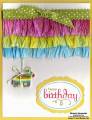 2012/02/09/packed_for_birthday_fiesta_birthday_ruffles_watermark_by_Michelerey.jpg