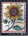 sunflower0