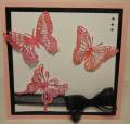 2012/02/19/3_Pink_Flutterings_by_Holly_Thompson.JPG