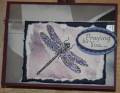 2012/03/11/Dragonfly_Praying_for_You_MAR12VSNE_by_laughingLARGE.jpg