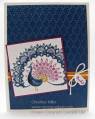 2012/12/23/Wold-treasure-full-peacock_by_cmstamps.jpg