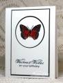 2013/03/16/Butterfly_MUSE8_by_bon2stamp.JPG