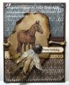 2012/07/21/Horse_Feathers_by_Julie_Gearinger.jpg