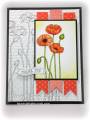 2012/06/29/Pleasant_Poppies001s_by_Cards4Ever.jpeg