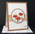 2013/02/26/Poppies_and_Piercing_Rox71_2-13_by_Rox71.jpg