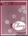 so_sorry_s