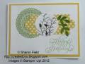 2012/07/29/P1140727_by_sharonstamps.jpg