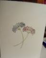 2012/08/07/muse_and_ripple_flowers_by_luvs2stamp2.jpg