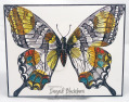 2013/05/02/Swallowtail_007_Front_by_nyingrid.jpg