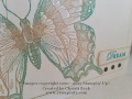 2013/08/08/butterfly_CAS232_up_close_by_beckcjb.jpg