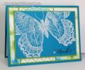 2014/02/14/Swallowtail_1_-_Stamp_With_Amy_K_by_amyk3868.jpg