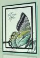 2014/06/10/stampin-up-swallowtail-stamp-set_-_06-10-2014_by_tyque.jpg