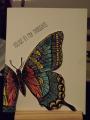 2014/09/21/Butterfly_card_-_SCS_by_Pansey65.jpg