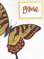 2020/09/03/Swallowtail_Believe_by_PJBstamper2.jpg