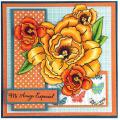 2014/04/14/CRS5066_JB_800_by_StampendousGraphic.jpg