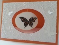 2013/07/27/butterfly_spinning_card_by_schelly21.jpg