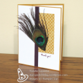 2016/10/27/homemade-card-by-natalie-lapakko-featuring-moroccan-dsp-and-a-peacock-feather_by_stampwitchnatalie.png