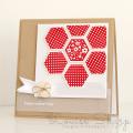 2015/05/28/Louise_INK015_Stampin_Up_Six_Sided_Sampler_02_by_Louise_Sharp.jpg