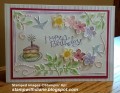 2017/06/13/pastel_birthday_for_blog_by_stampwithdiane.jpg