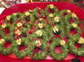 2019/12/18/Xmas_Wreaths_-_SCS_by_Pansey65.jpg