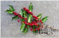 2013/12/02/Close-Up-of-Holly-1024x666_by_ScrapNGrow.jpg