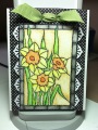 Daffodils_