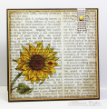 2013/07/31/scripted_sunflower_Allison_Cope_by_thecircleguru.jpg