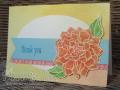 2014/06/15/140411_-_Watercolor_Wonder_Class_cards_6_-_embossed_peaceful_petals_by_stamp-happy21.jpg