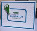 Aligator_b