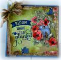 2015/06/17/Bloom_Where_You_re_Planted_Canvas_by_Tracey_Fehr.JPG