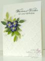 2014/06/06/stampin-up-something-to-say-and-blooming-with-kindnesss-stamp-sets---06-06-14_by_tyque.jpg