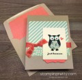 2016/04/11/Stampin-Up-Owl-Builder-Punch-Just-Because-Card-Envelope-Liner-By-Mary-Fish-StampinUp-500x494_by_Petal_Pusher.jpg