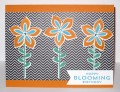 Blooming_B