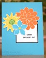 2017/04/18/Flower_Patch_Mother_s_Day_by_mandypandy.JPG