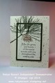 2014/11/12/Card_20243_20Ornamental_20Pines_202_20Layer_20Stamping_20tall_by_Robyn_Rasset.jpg