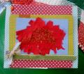 2014/10/23/HYCCT1423_Red_flowers_by_Crafty_Julia.JPG