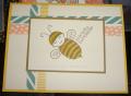 2015/05/06/DH_Baby_Bumble_bee_by_diane617.jpg