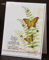 2015/05/22/MonarchButterflies_by_punch-crazy.jpg
