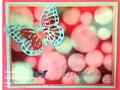 2015/08/28/Bokeh_Butterfly_Birthday_Card_Butterfly_Basics_with_wm_by_lnelson74.jpg