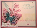2015/09/02/Melon_Mambo_Butterfly_in_Bermuda_Card_with_wm_by_lnelson74.jpg
