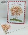 2016/05/28/Sheltering_Tree_Thankful_For_You_6_-_Stamps-N-Lingers_by_Stamps-n-lingers.jpg