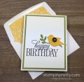 2016/03/28/Stampin-Up-Happy-Birthday-Everyone-Card-Envelope-By-Mary-Fish-StampinUp-500x490_by_Petal_Pusher.jpg